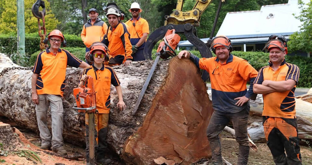 Tree Removal