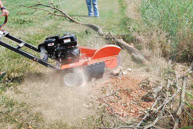 Top 3 Reasons to Hire Residential Hedge Trimming Professionals