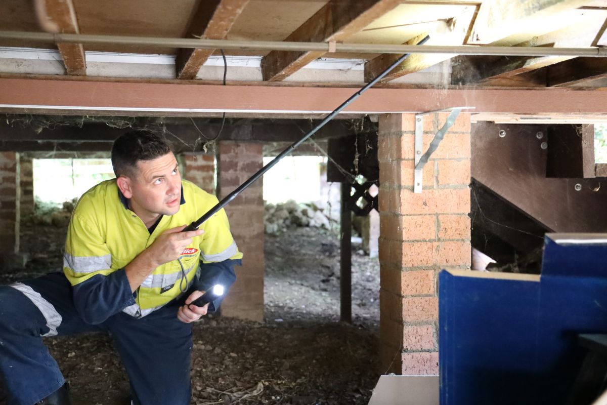 pest inspection Sydney