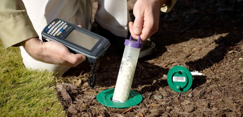 pest inspection Sydney