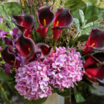St Leonards Florist: Flowers for Sydney’s Health and Business Precinct