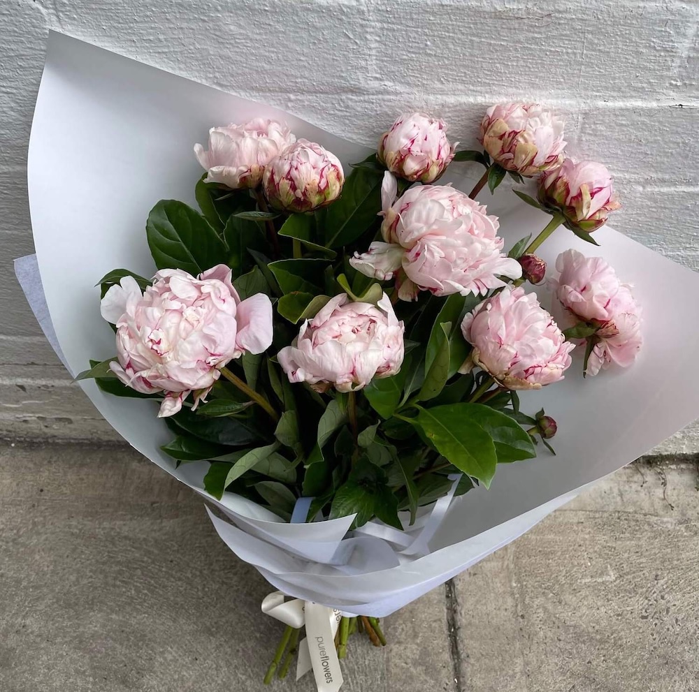 Florist Crows Nest: Flowers for Sydney's Best Village High Street